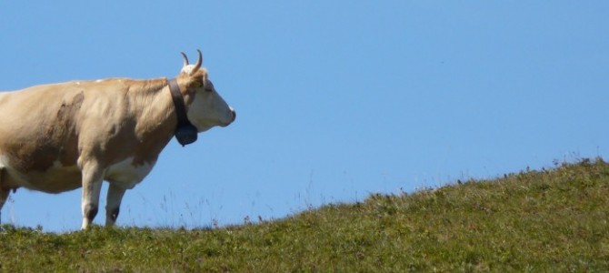 Gurnigel – Schweiz Gurnigel – Schweiz