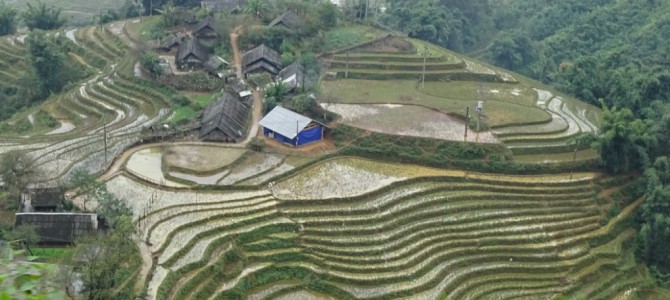 Reisterassen ohne Ende, wir reisen in den Nord-Westen von Vietnam