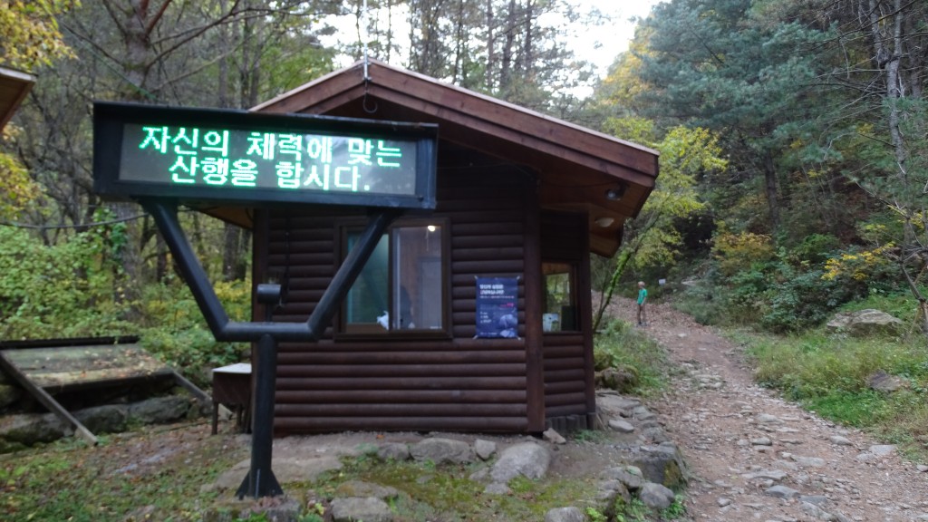 In Korea hat auch eine Rangerhütte im Wald ein Recht auf eine eigene Leuchtreklame