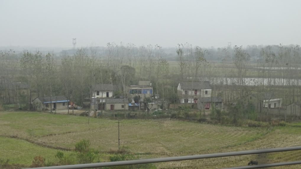 tmp_7753-009-DSC087071125648023
