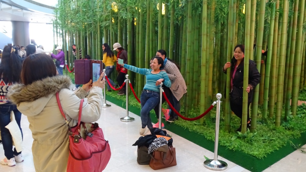 Und währnend sich die Einen in künstlichen Bambuswäldern fotografieren